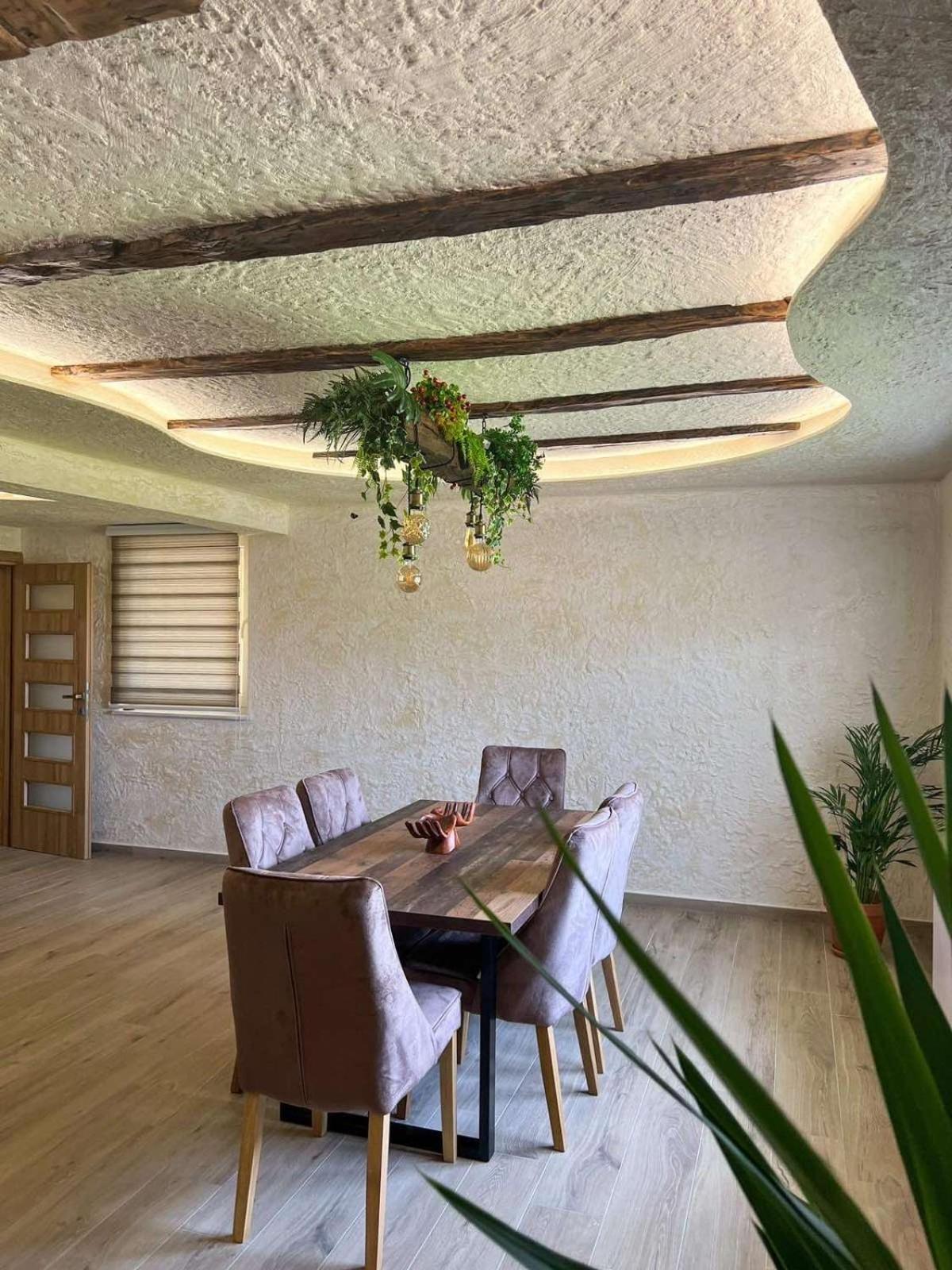 Motel Pizzeria Actros Nova Topola Buitenkant foto